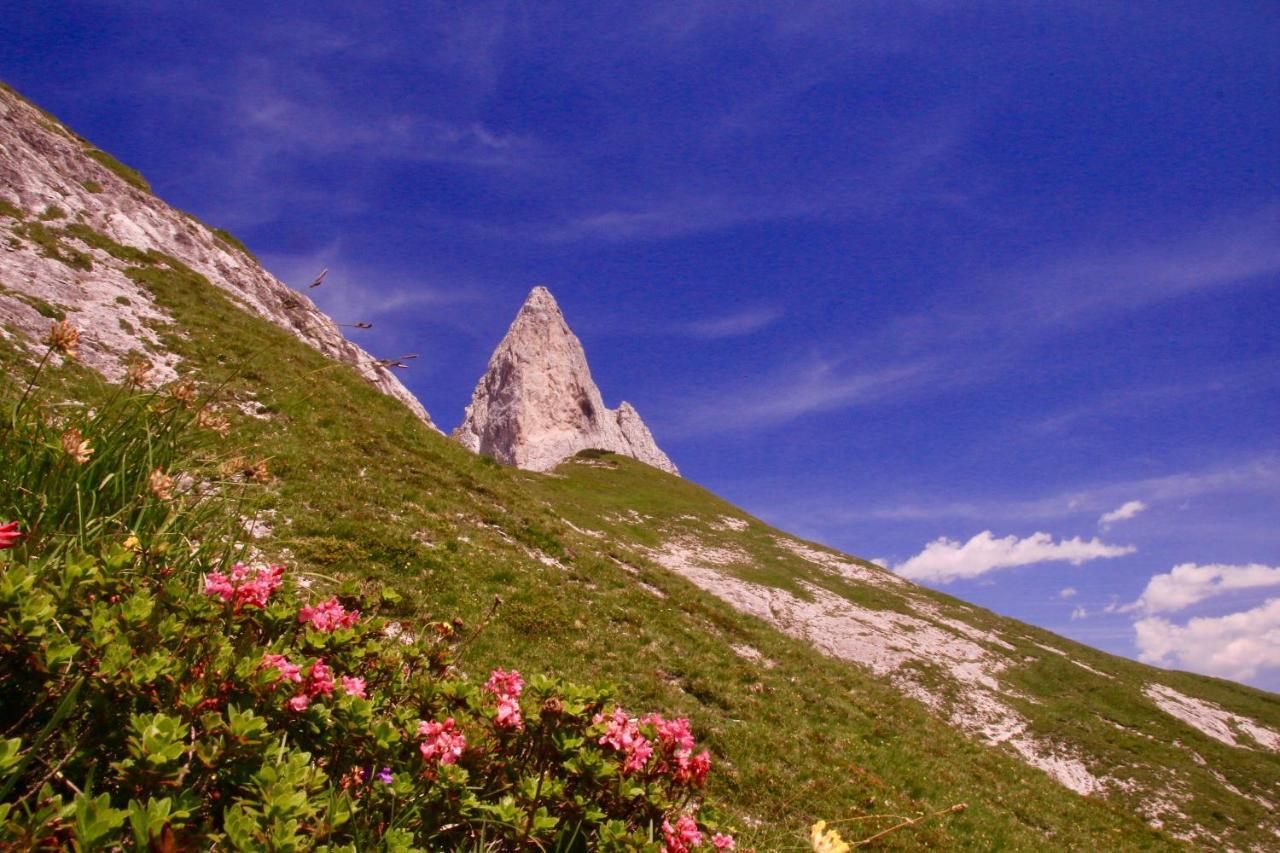 Schermerhütten Tauplitzalm Exterior foto